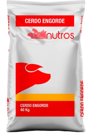Cerdo Engorde