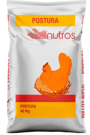 Gallinas de Postura