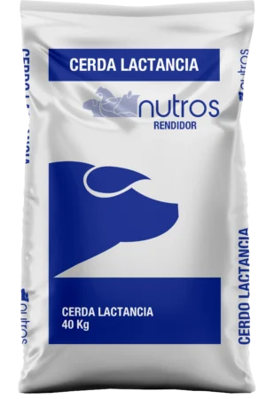 Cerda Lactancia Rendidor