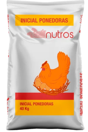 Inicial Gallina Ponedora